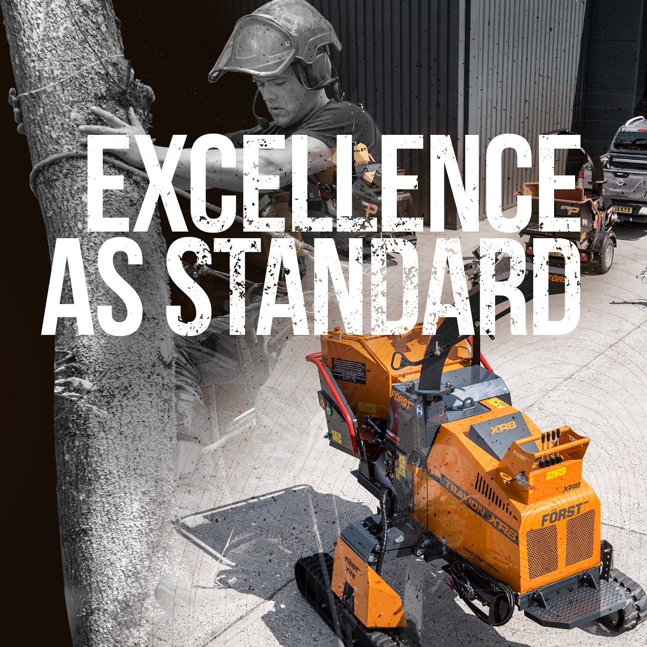 Excellence as Standard
